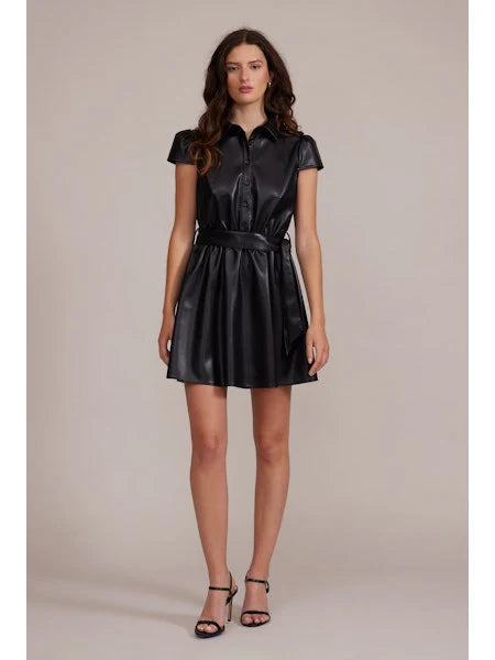 Eiza Faux Leather Dress - Black