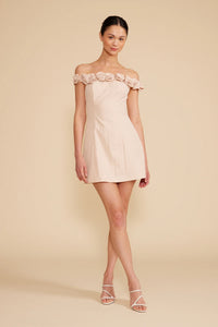 Primrose Mini Dress - Blush