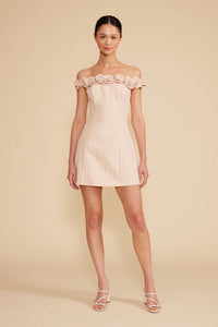 Primrose Mini Dress - Blush